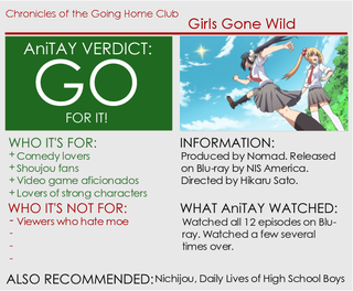 Illustration for article titled Chronicles of the Going Home Club: The Ani-TAY Review